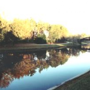 Riverside Reflections