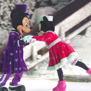 DLP Mickeys winter wonderland