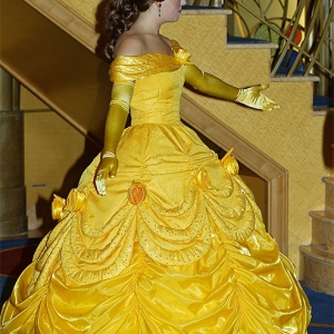 Formal gown - Belle