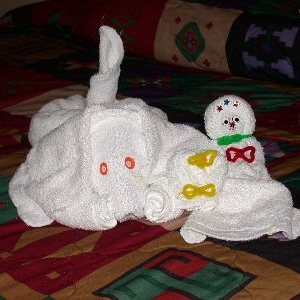 Feb. '05--Towel Animals