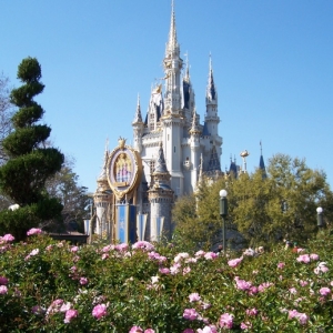 Castle Surrounded by Roses