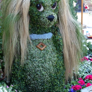 Lady topiary
