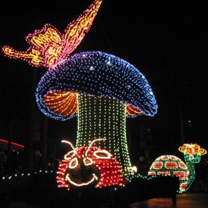 Disney's Electrical Parade 8