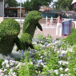 Dolphin topiary at Flower & Garden