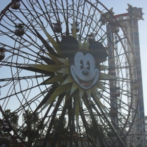 Maliboomer and Mickey's Fun Wheel inside California Screamin tracks