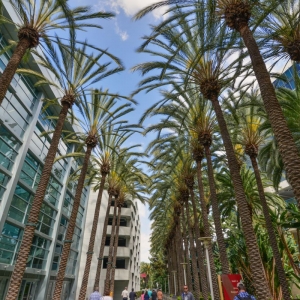 Hilton-Anaheim-136