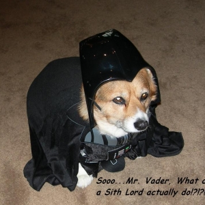 Sith Lord Doggie