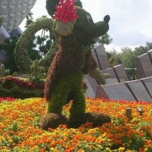 Blooming Mickey Welcomes Epcot Guests