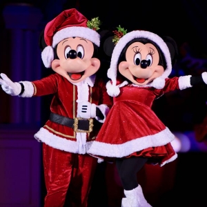 Mickeys-very-merry-christmas-party-2016-042