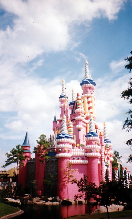 25th Anniversary Castle "Cake"
