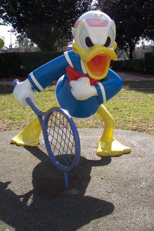 Donald at the net
