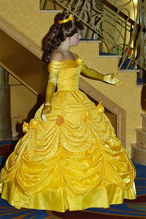 Formal gown - Belle