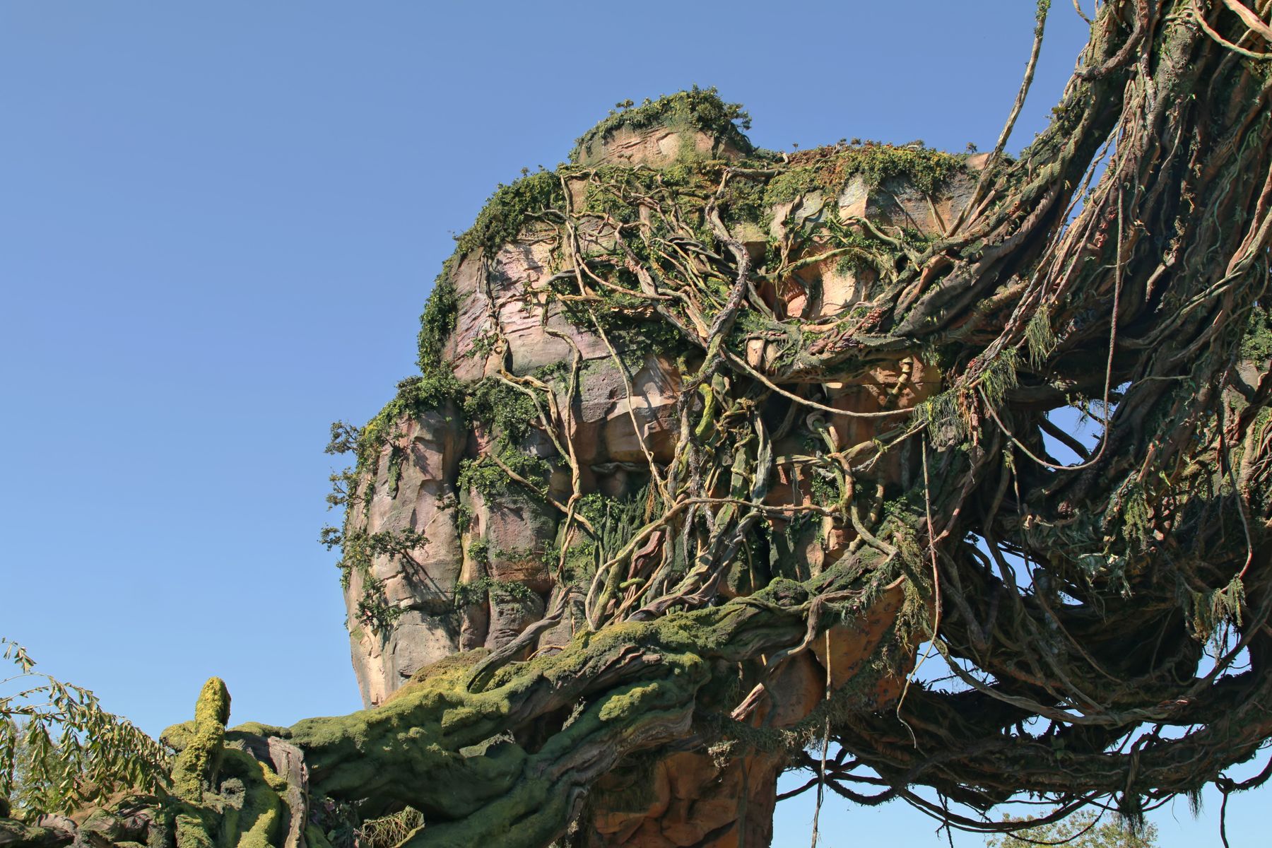 Pandora World of Avatar - Look up at the floating mountain