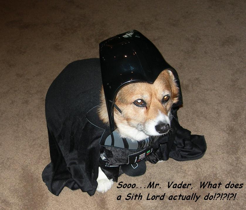 Sith Lord Doggie