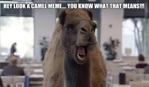 Hey look a camel meme.... you know what that means!!! - hump day - quickmeme