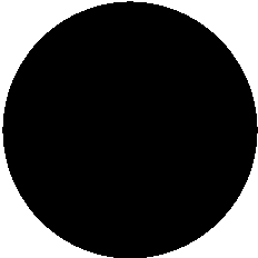 black_dot.gif