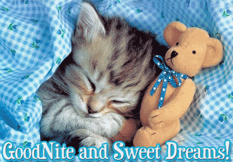 Good-Night-And-Sweet-Dreams-.gif