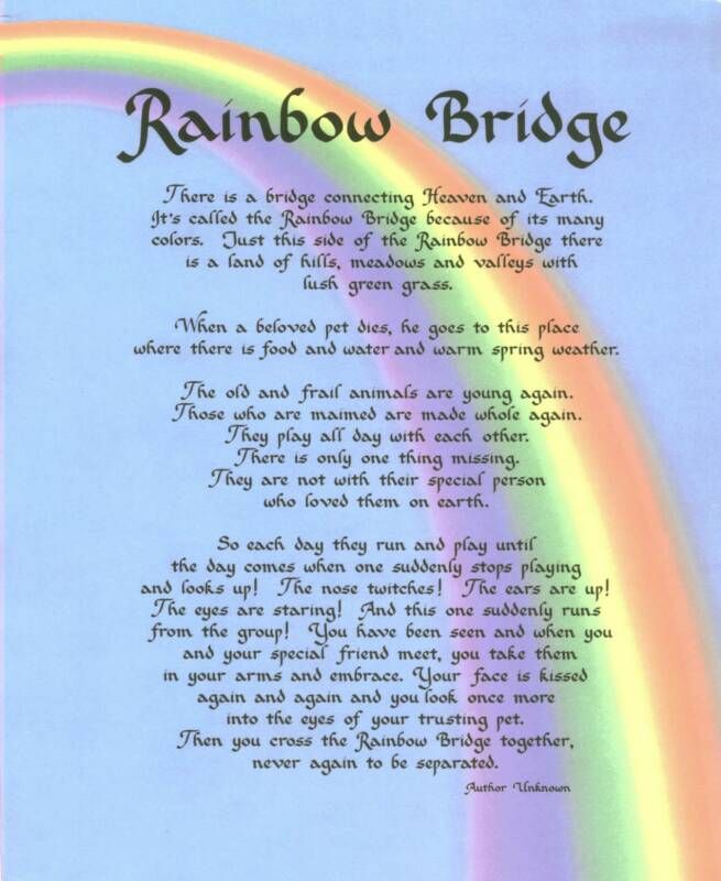 Image result for rainbow bridge poem