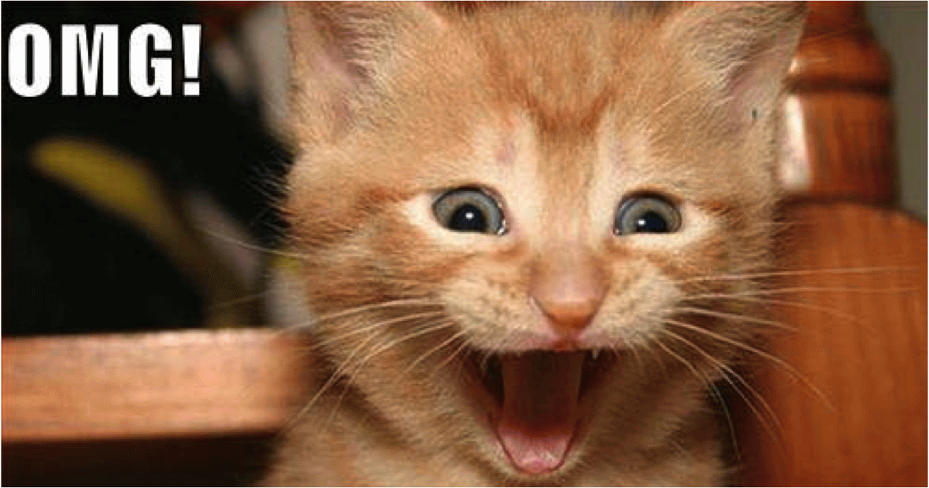 OMG-Excited-Face-Cat-Funny-Picture.png